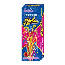 FLOWER POT ASOKA